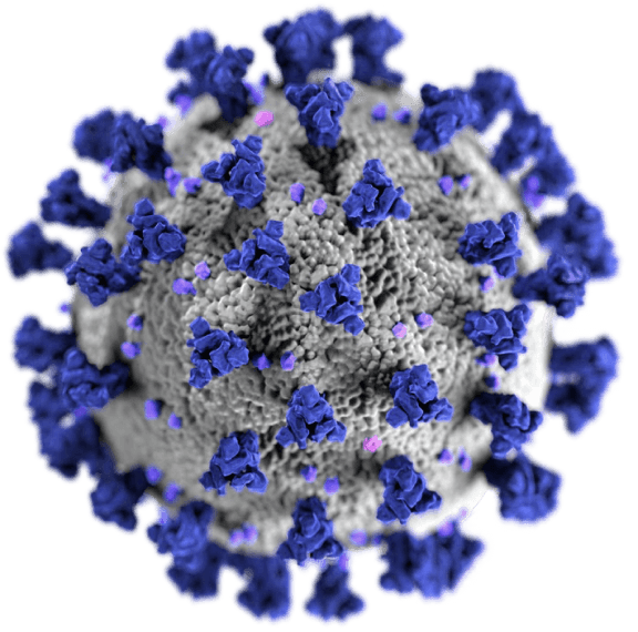 covid 19 virus illustration